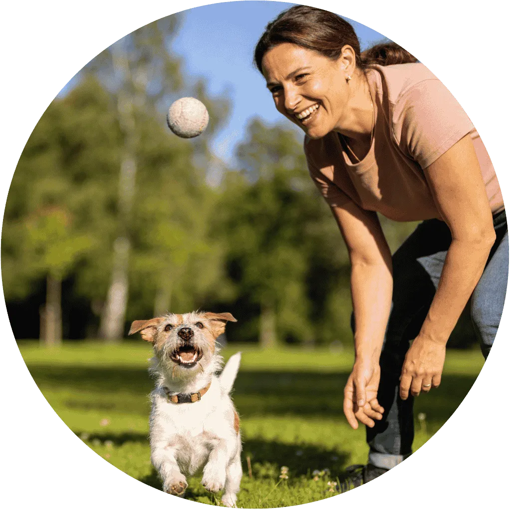 Avis client VitalieBio : Pauline joue joyeusement avec son petit chien senior plein de vitalité dans un parc ensoleillé, illustrant le regain d'énergie apporté par le pack Longévité.